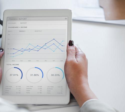 Analysis businesswoman holding chart