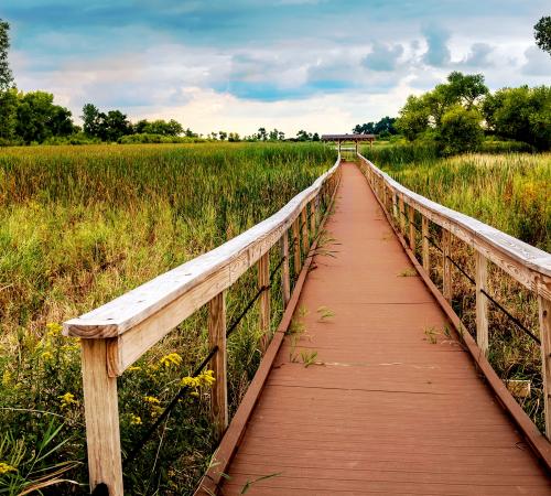 Marsh Bridge