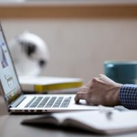 Adult using laptop