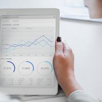 Analysis businesswoman holding chart