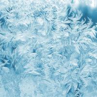 Frozen Ice on Window