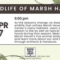 Wildlife of Marsh Haven
