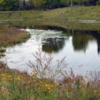 Stormwater Pond