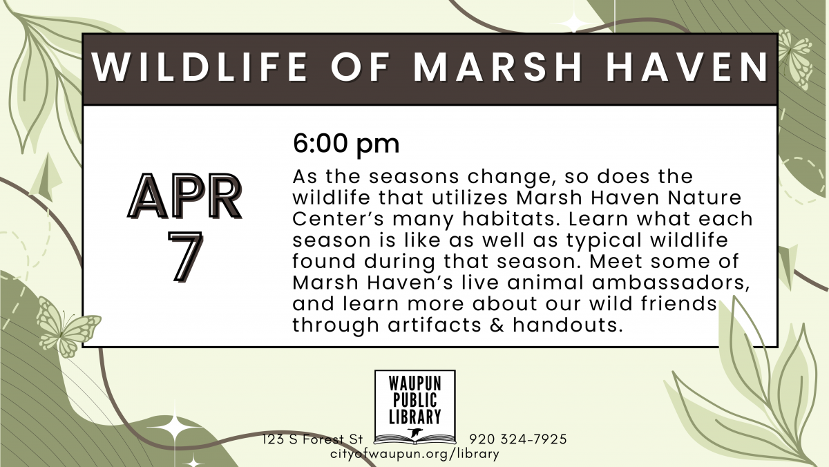 Wildlife of Marsh Haven