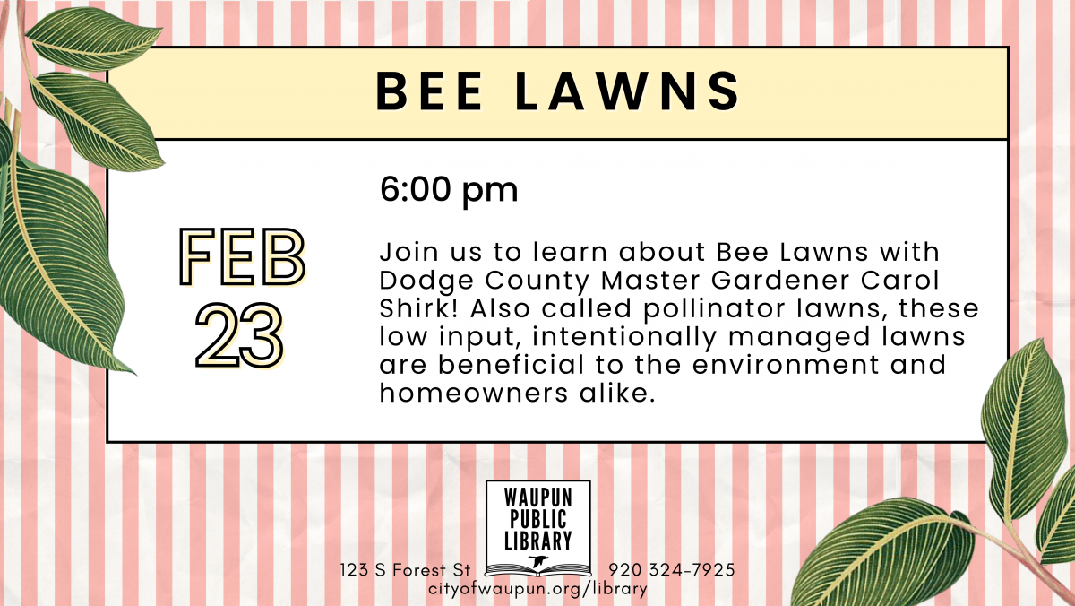 Bee Lawns
